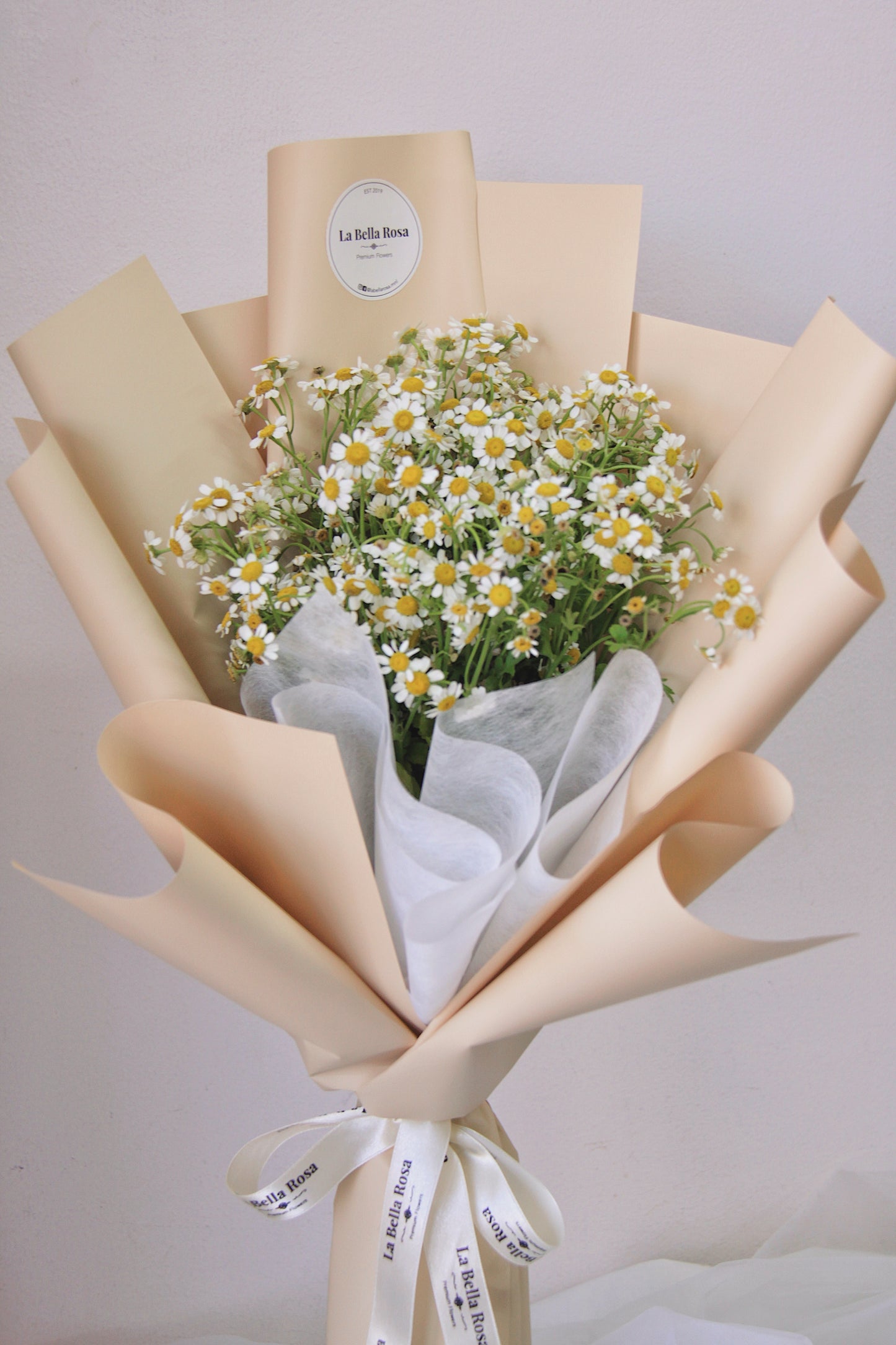 Chamomile Bouquet