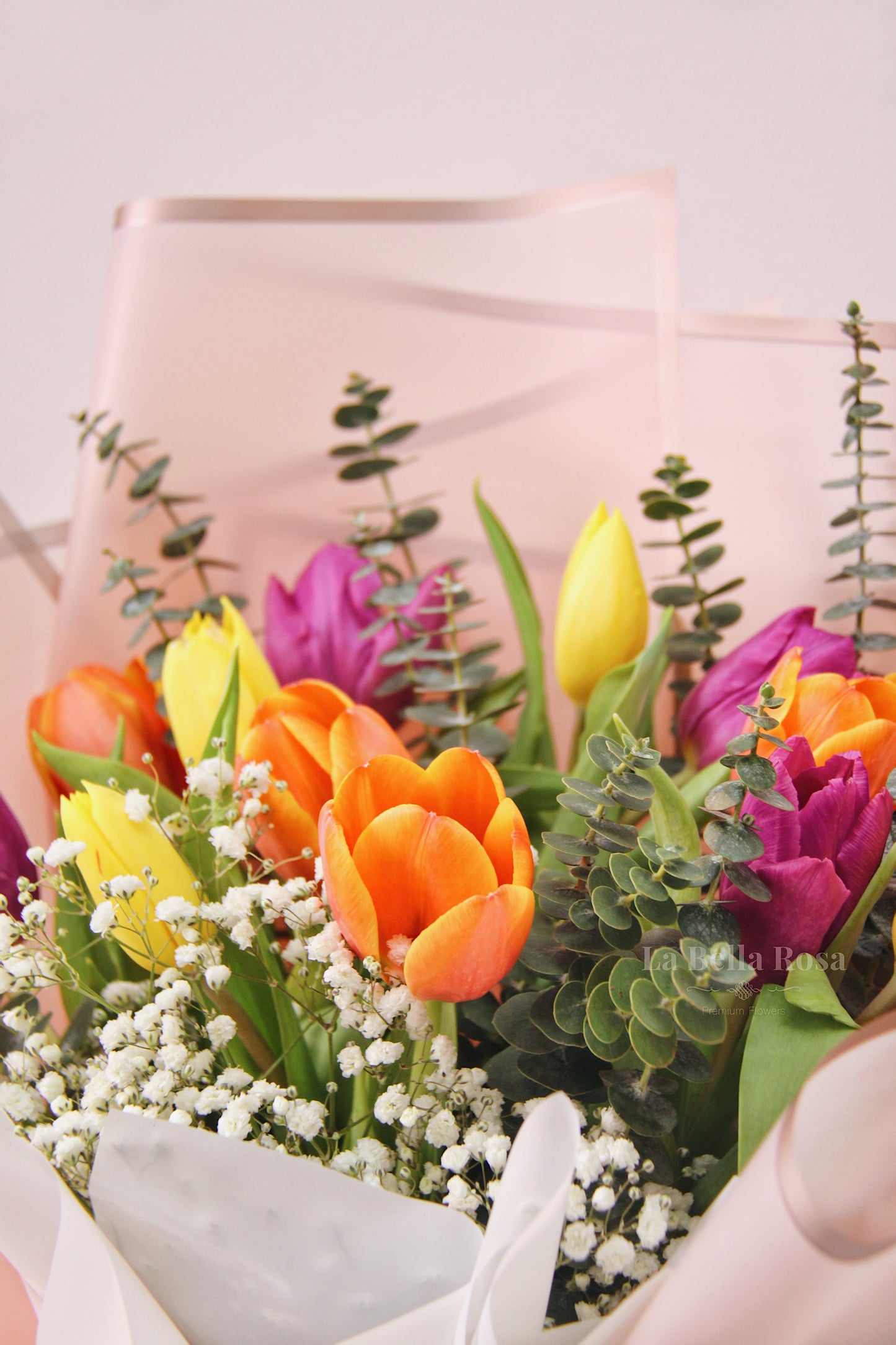 Holland Tulip Bouquet (Multicolor)