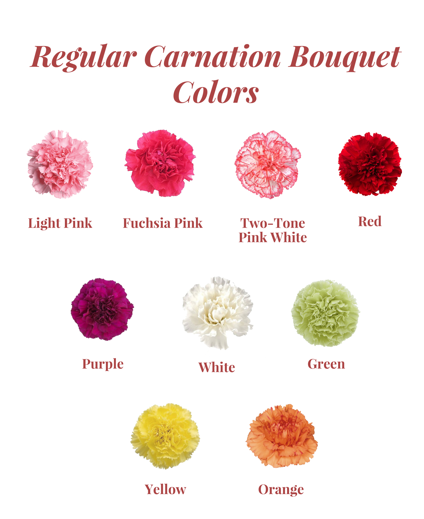 Regular Carnation Bouquet
