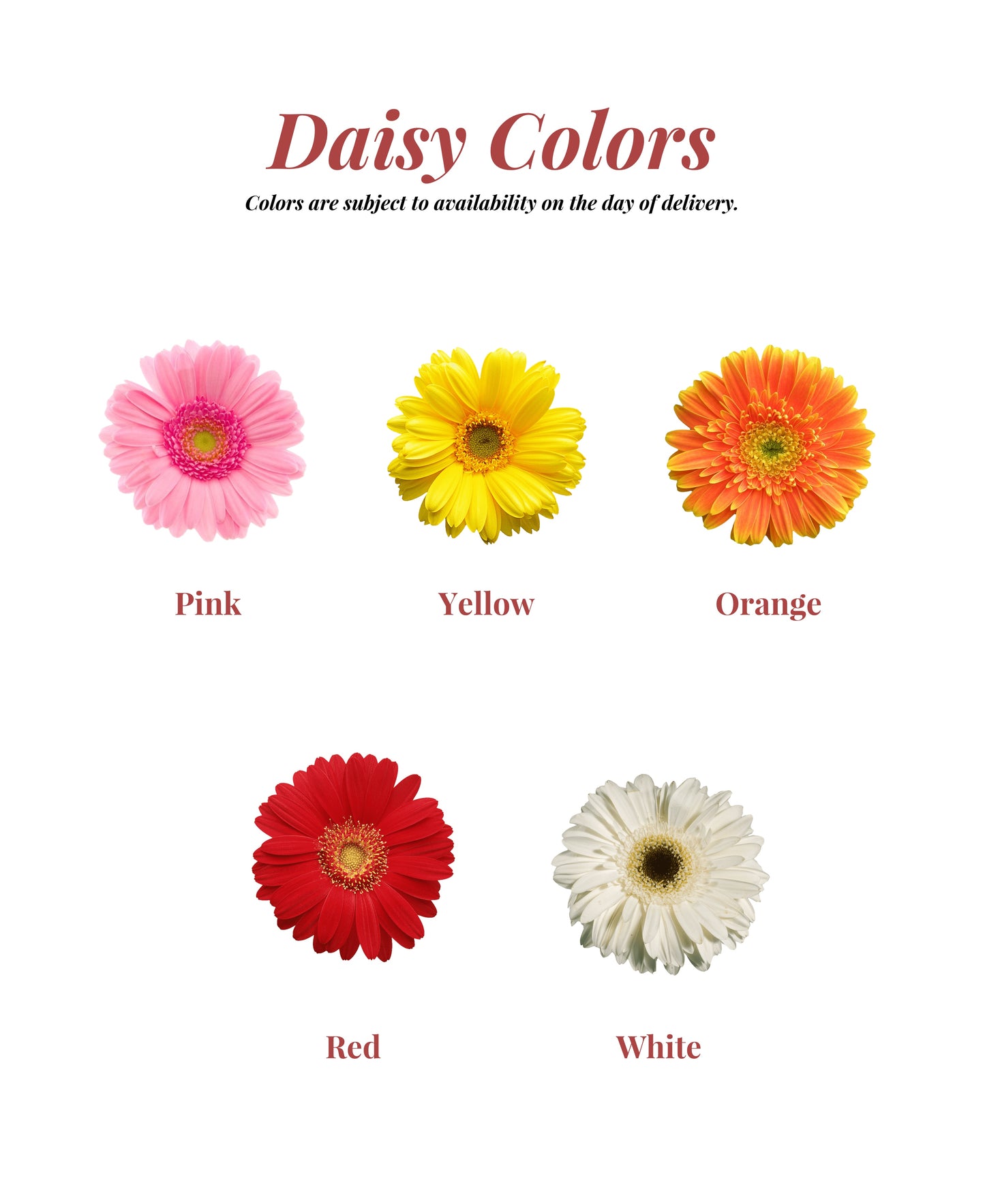 Daisy Bouquet