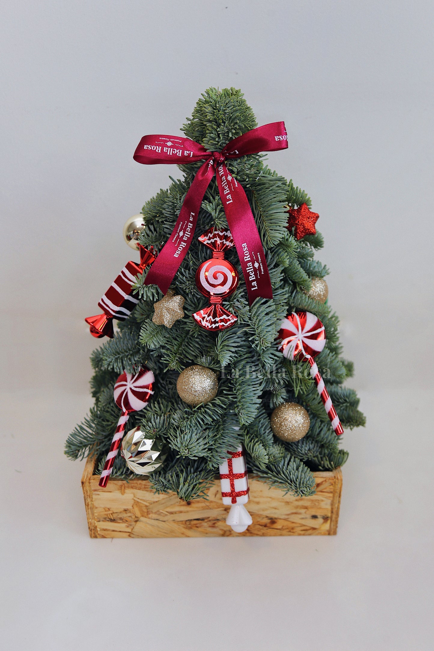 Clementine Fresh Pine Tree