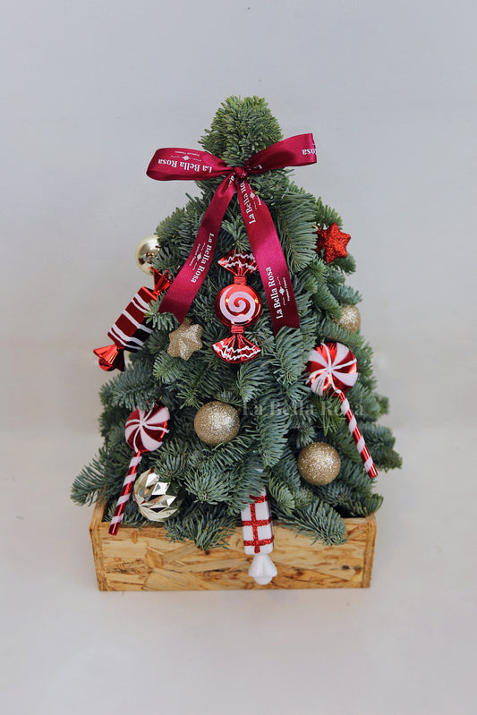 Clementine Fresh Pine Tree