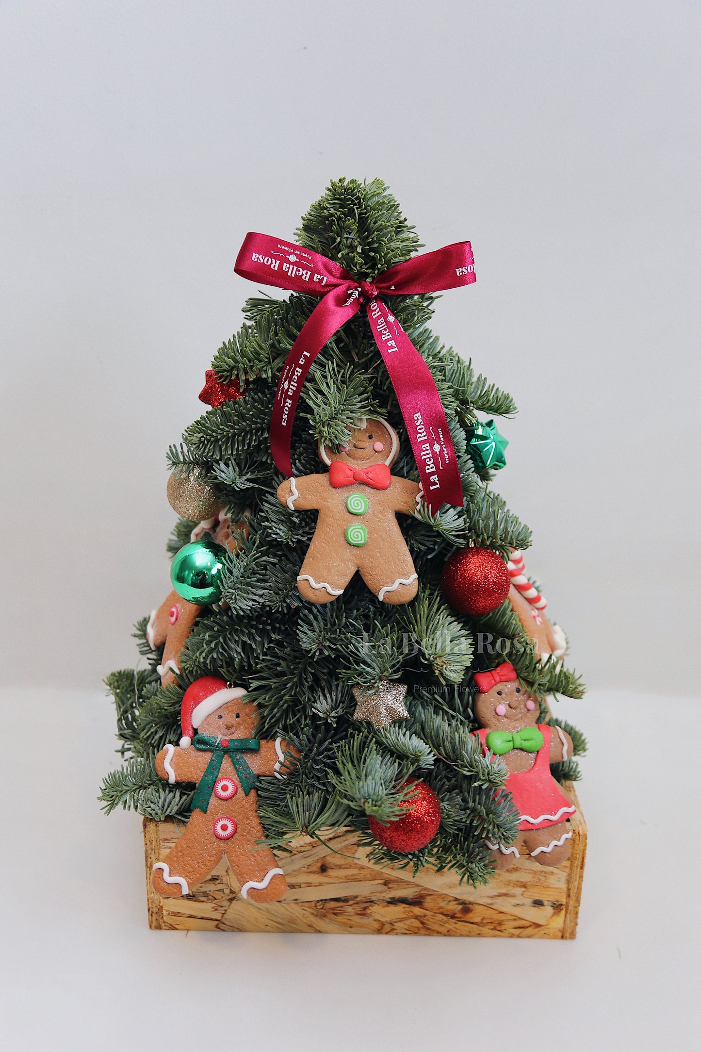 Ginger Fresh Pine Tree