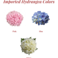 Hydrangea Bouquet (Holland Imported)