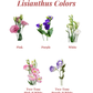 Lisianthus Bouquet