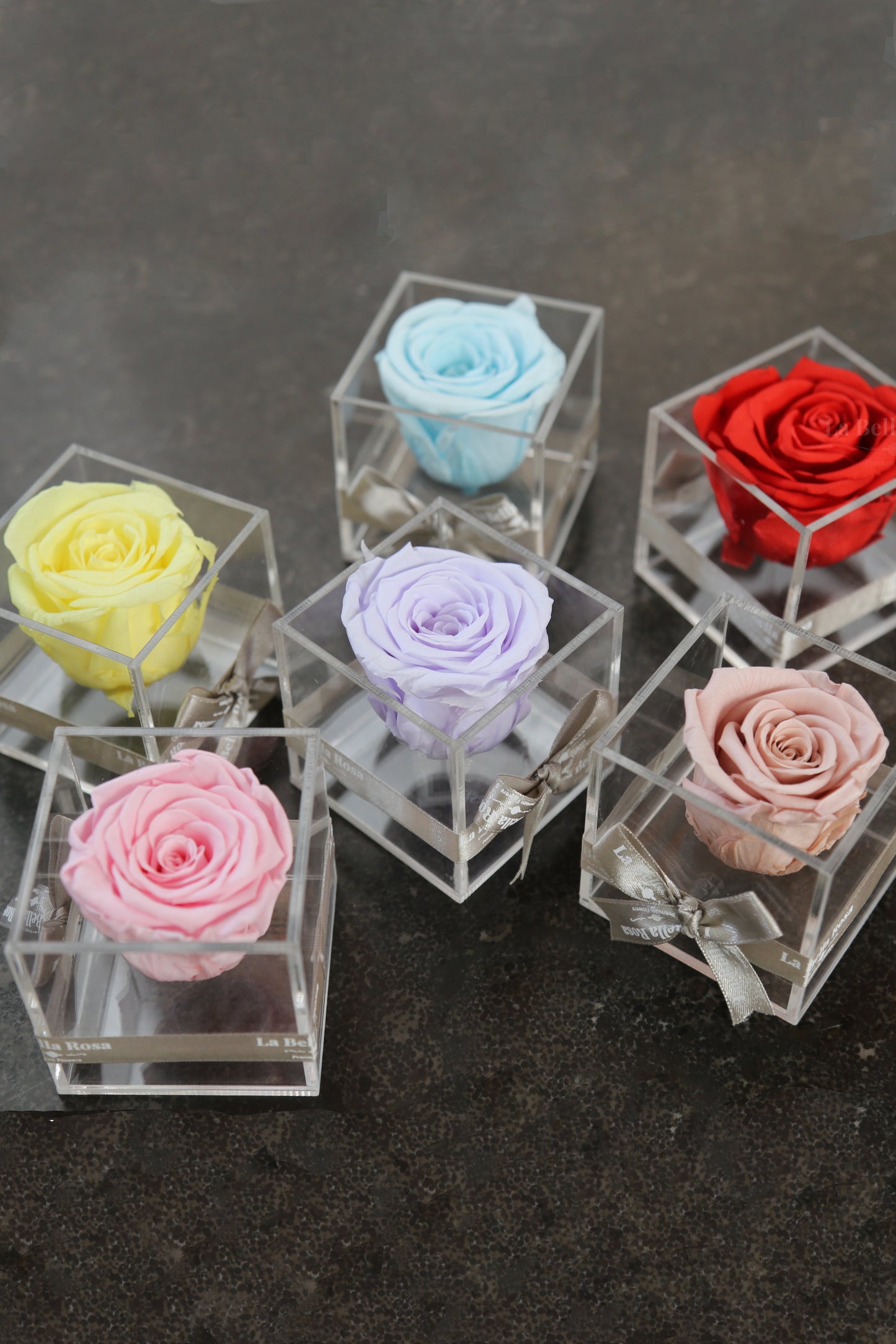 Mini Fleurs Acrylique