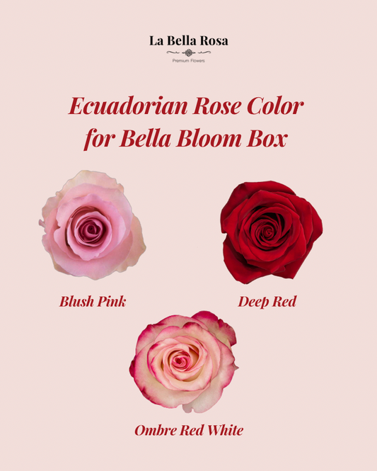 Bella Bloom Box