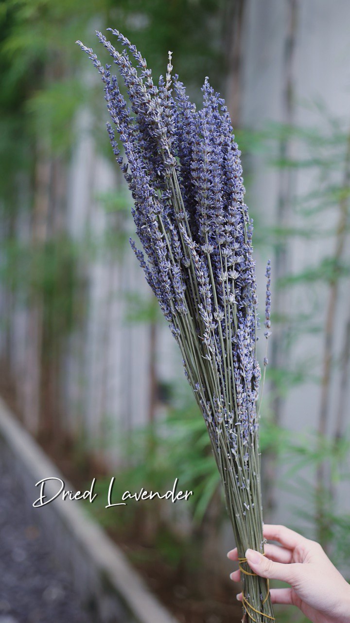 Dried Lavender Bundle