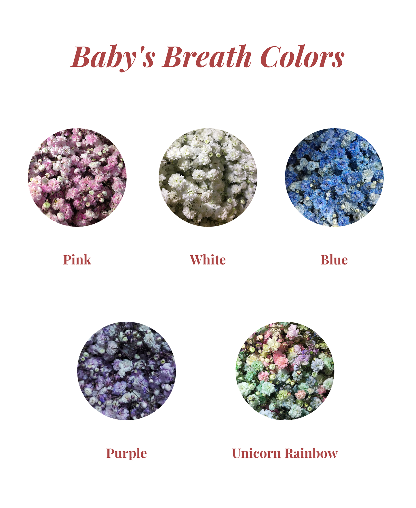Baby's Breath Bouquet