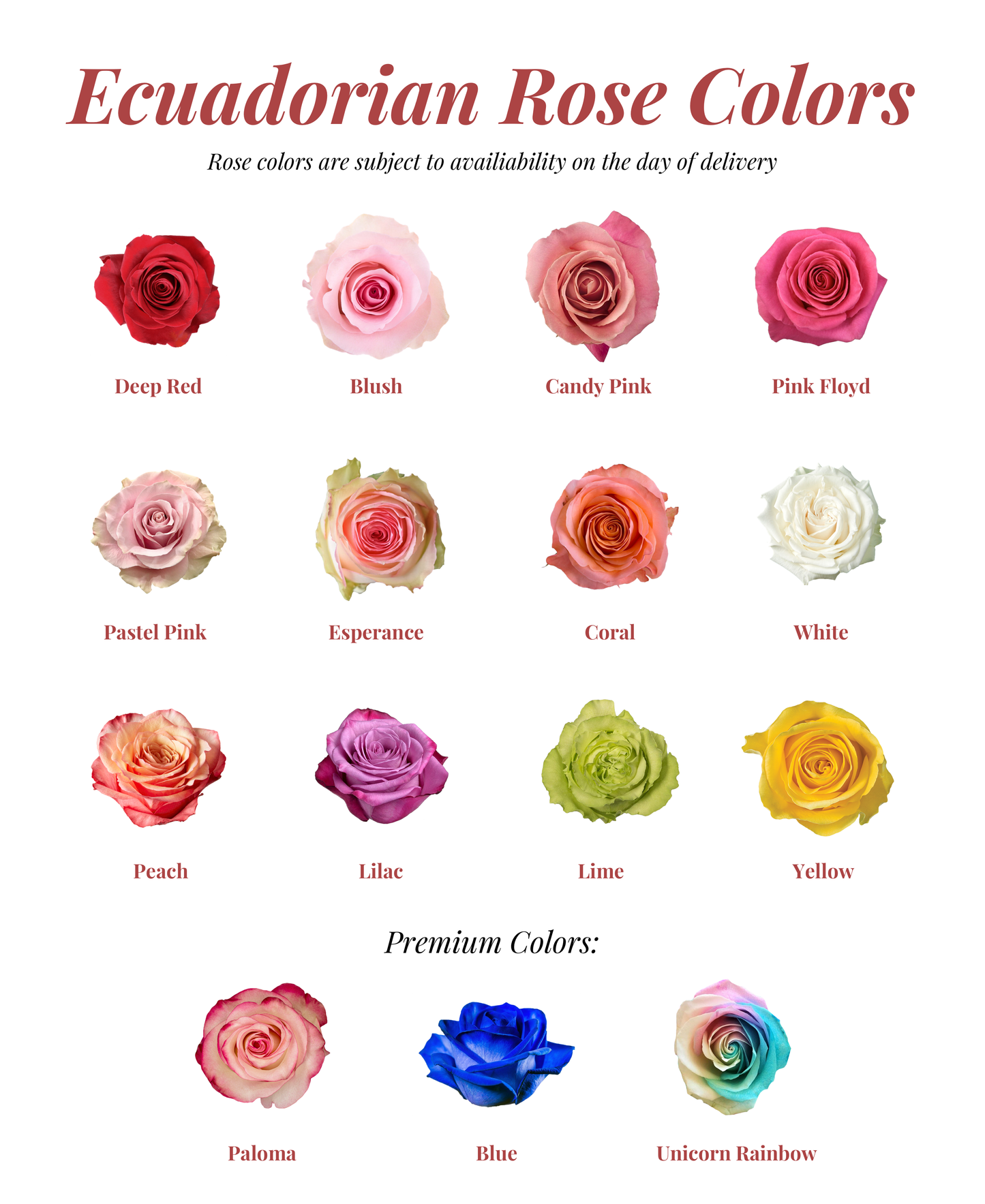 Ecuadorian Rose Bouquet